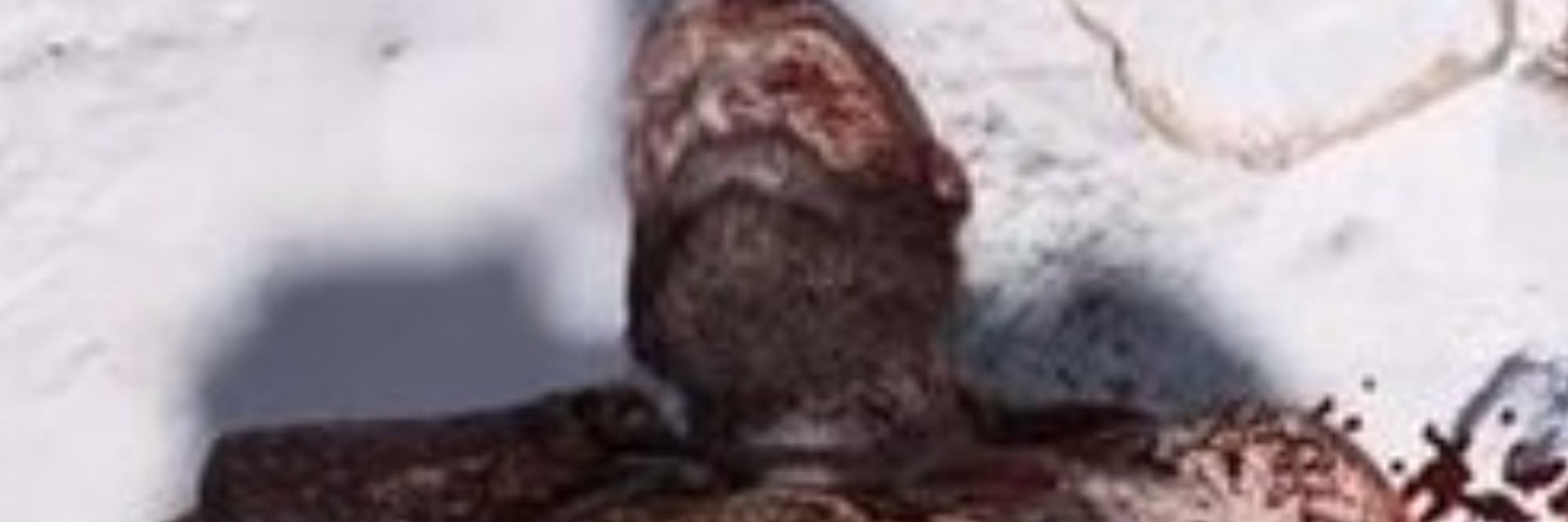 Kalan