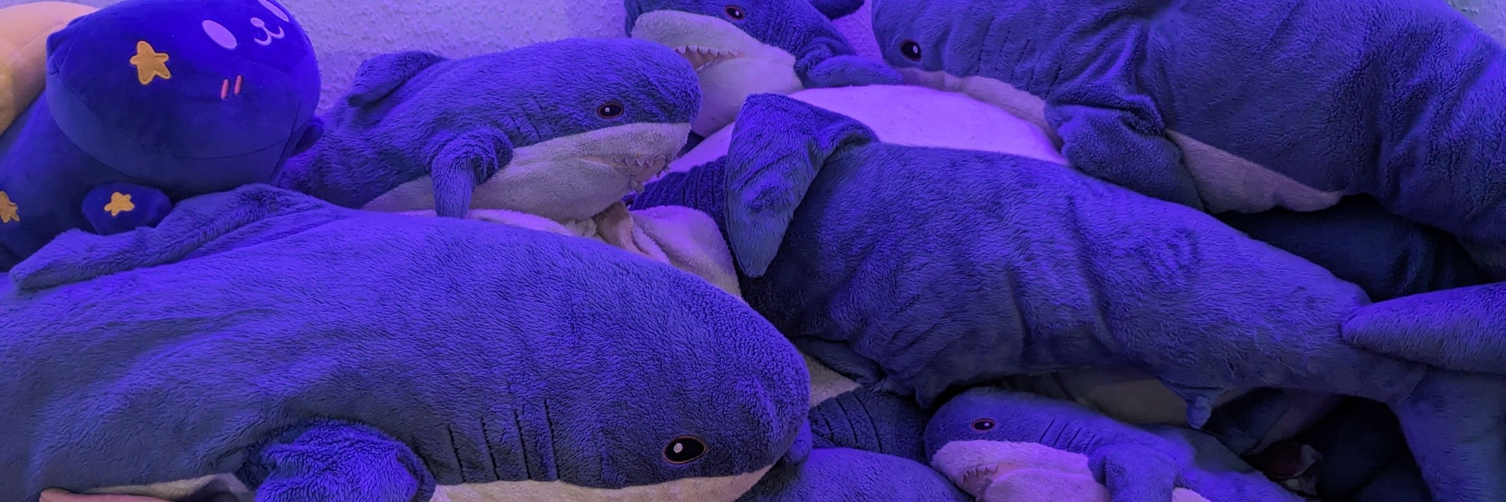 Blåhajqueen🦈🩵🩷🤍🩷🩵