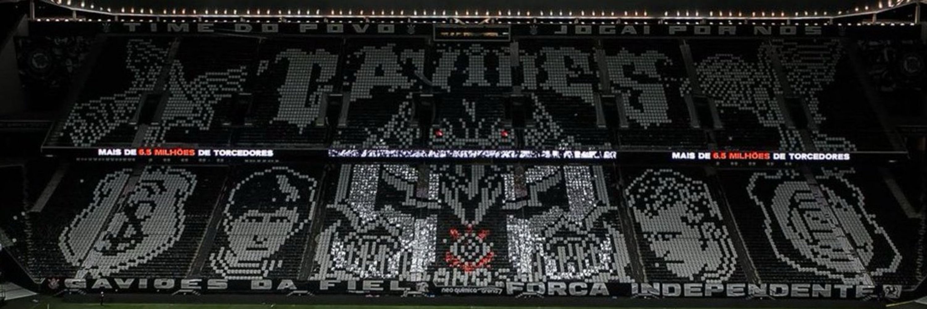cardoso