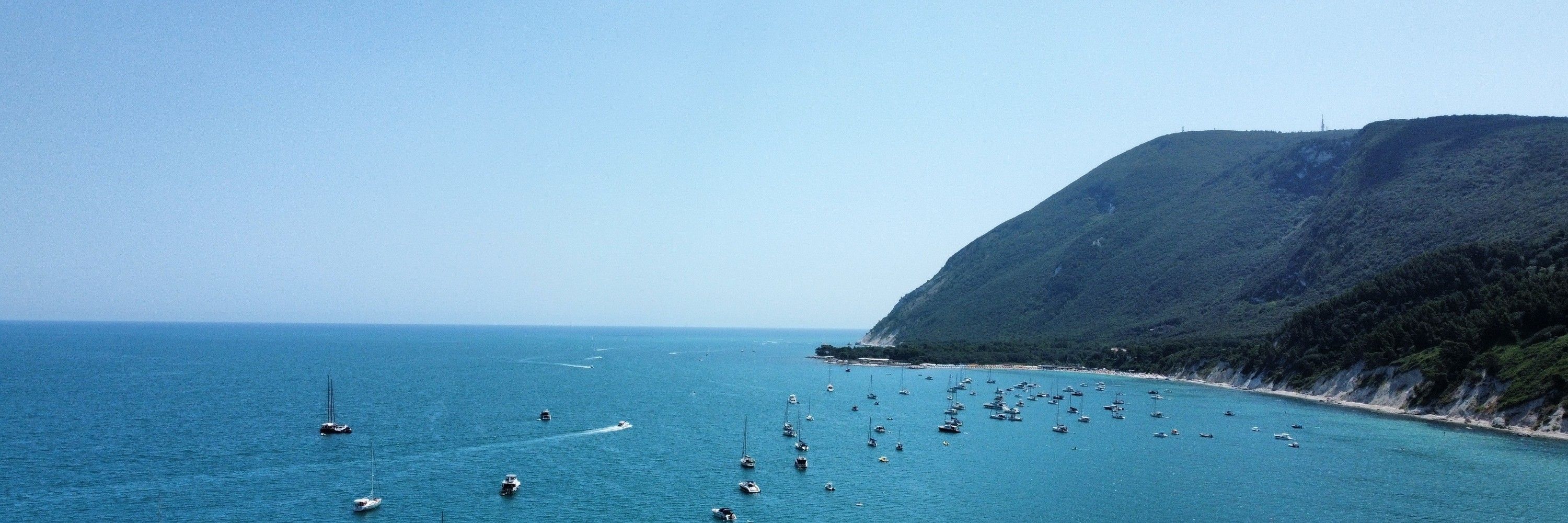 Marco Pelliccia