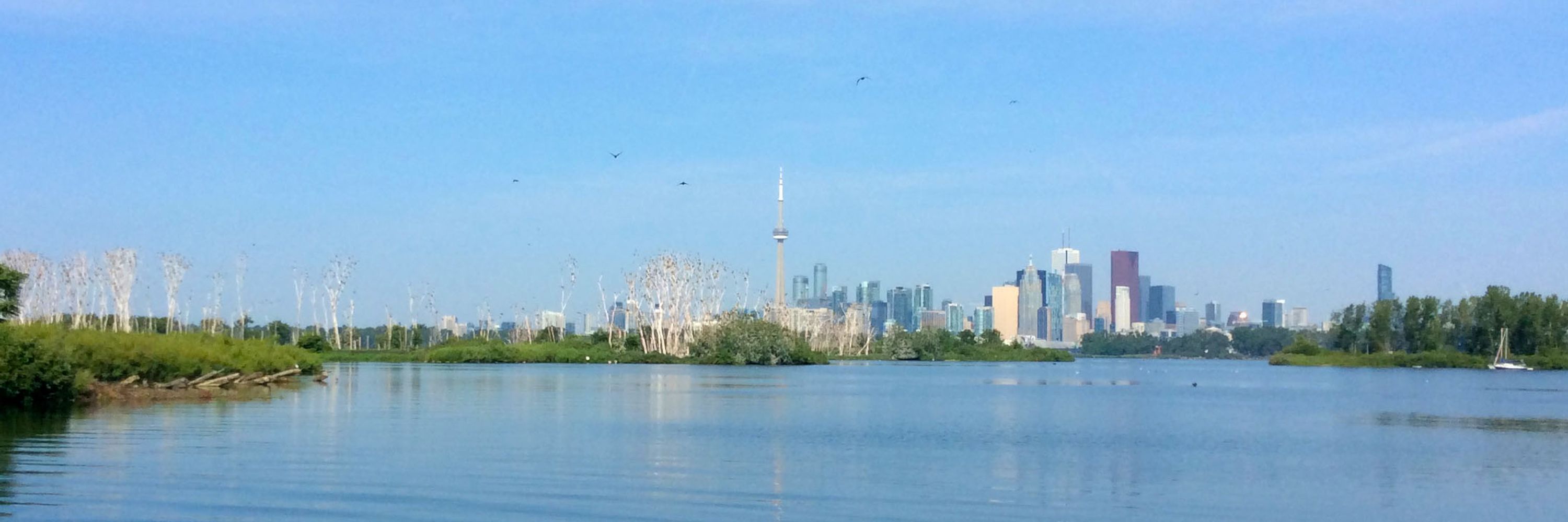 Toronto Environmental Alliance