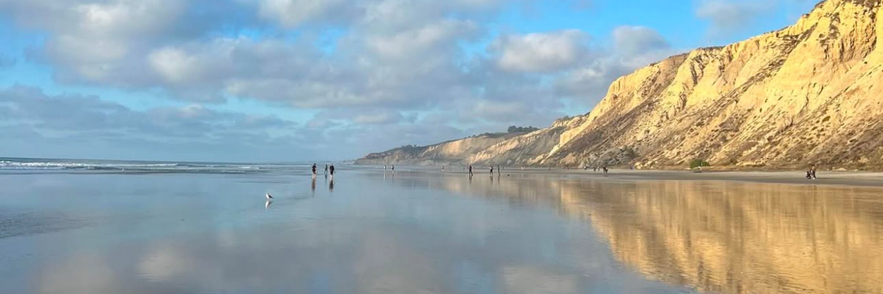 Blacks Beach San Diego