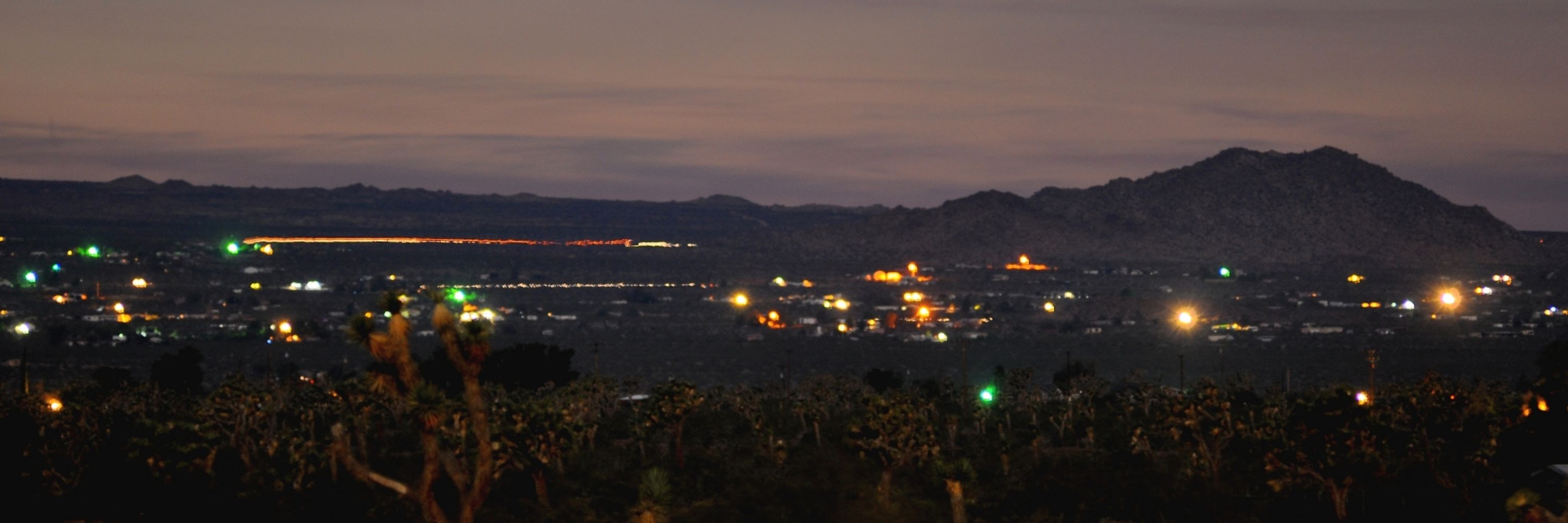 Startling Dusk