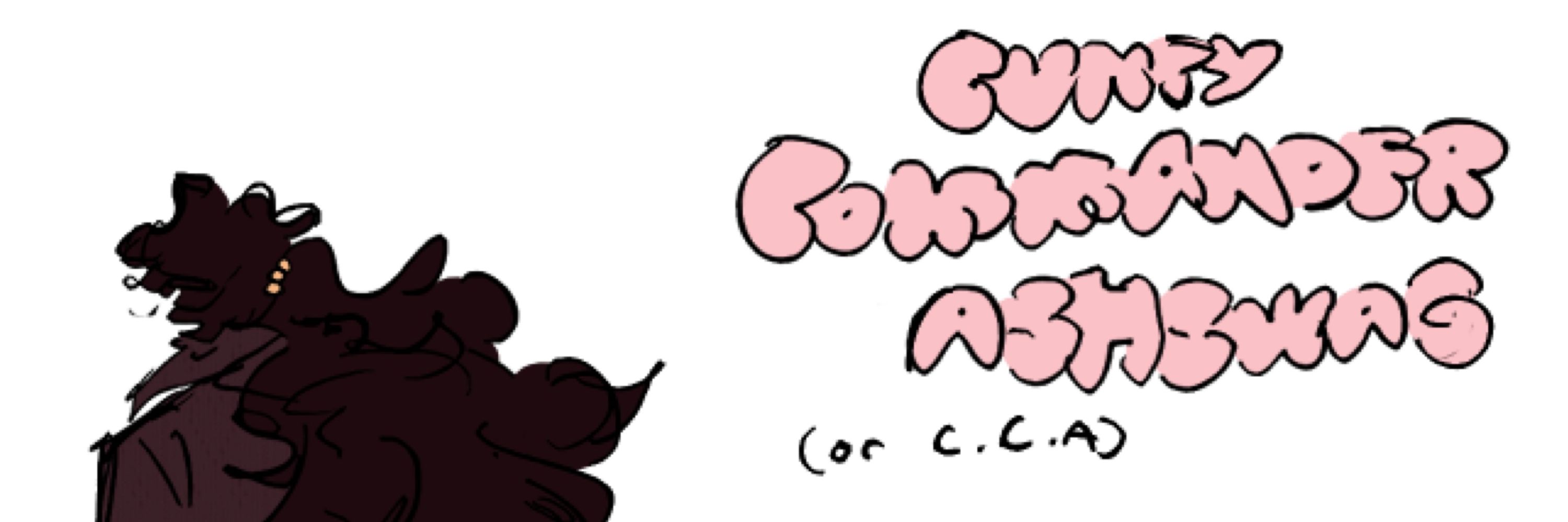 cunty commander ashswag