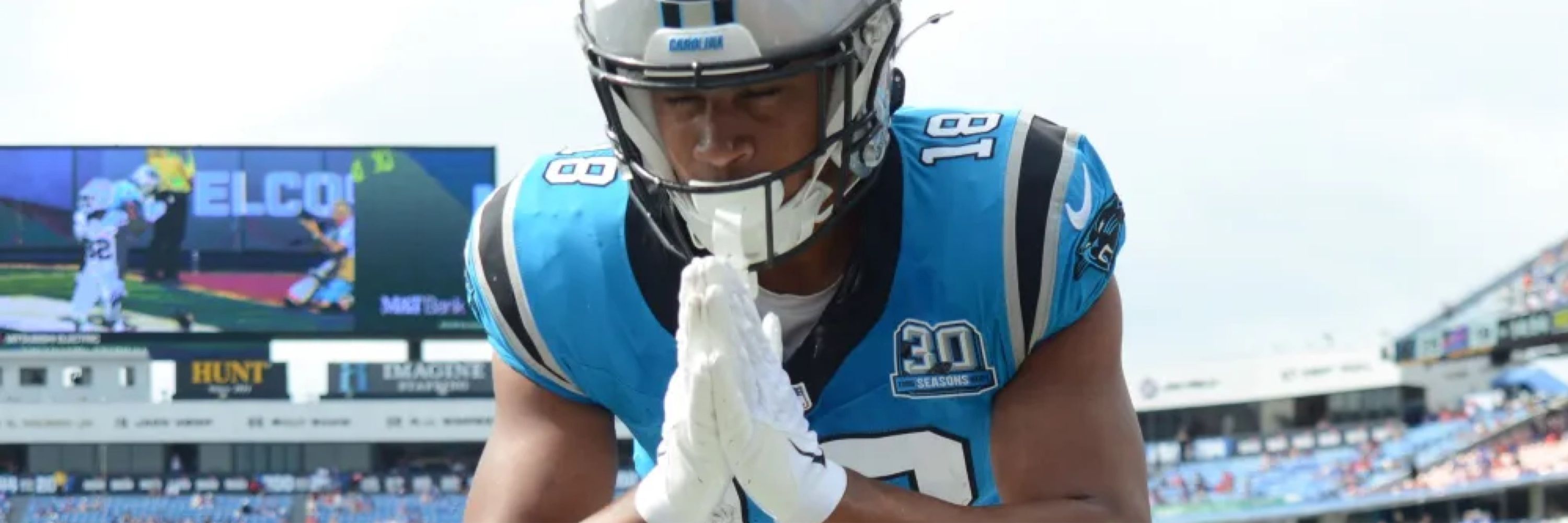 All about the Panthers