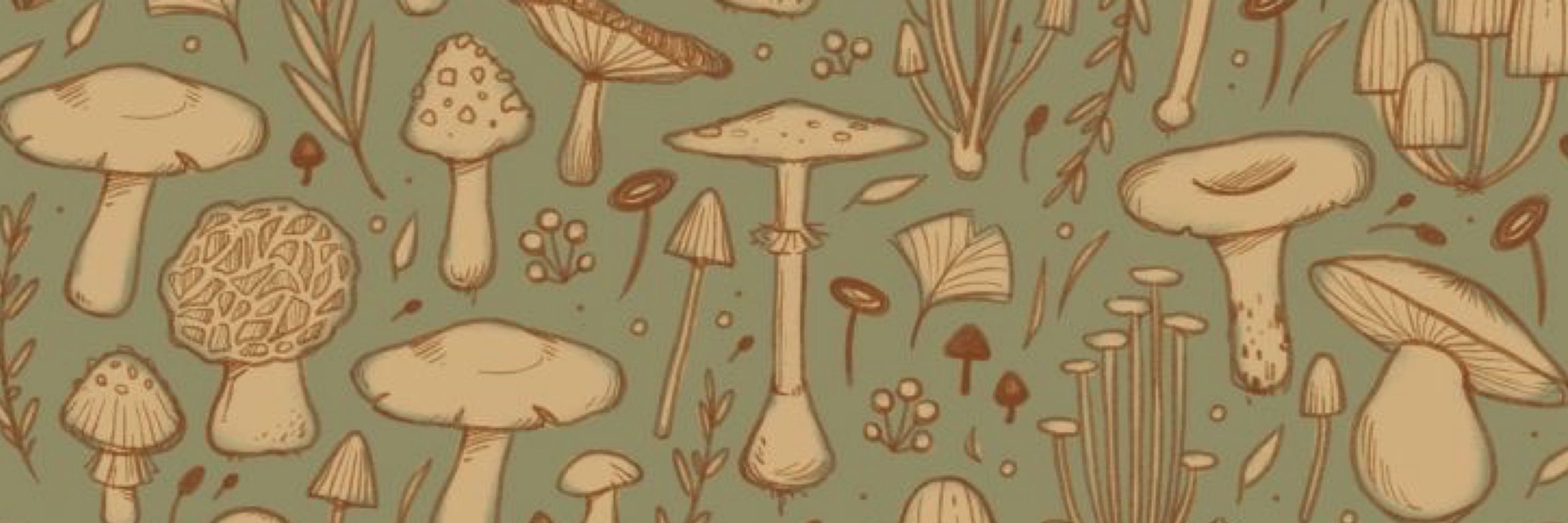 August 🍄