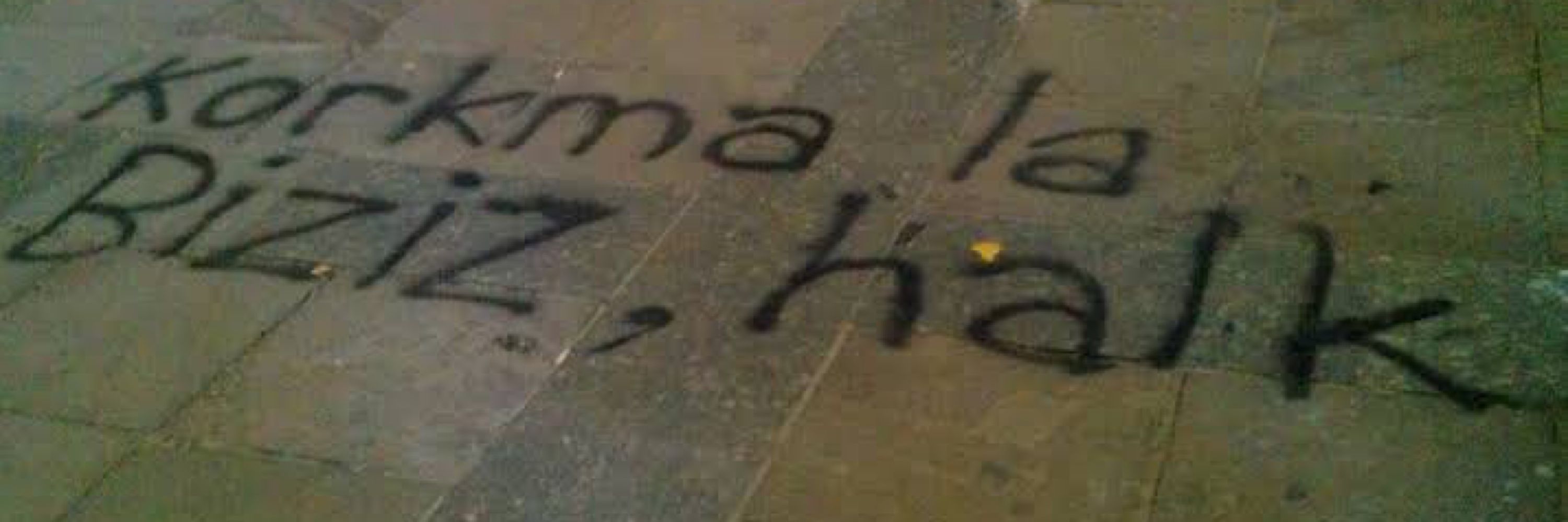 onay #1312