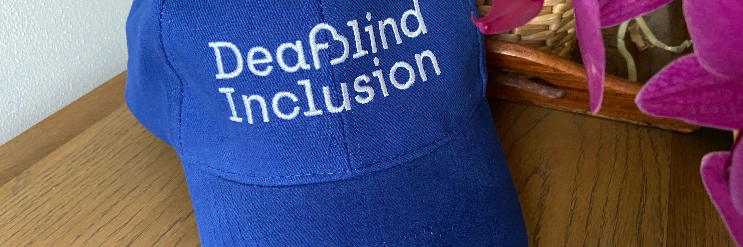 DeafBlind Inclusion