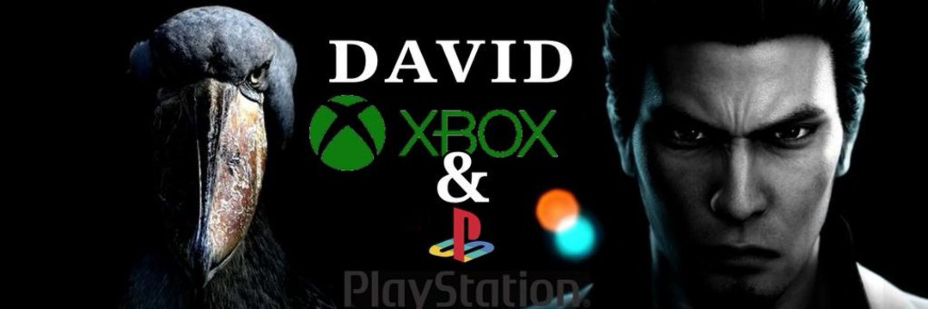 David ◤✠◢