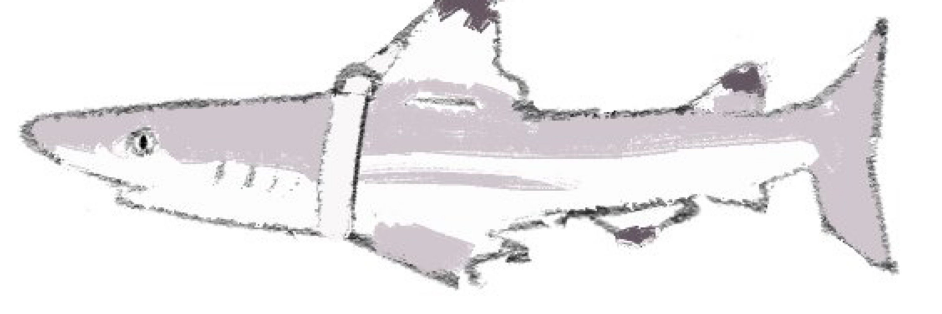 slepey
