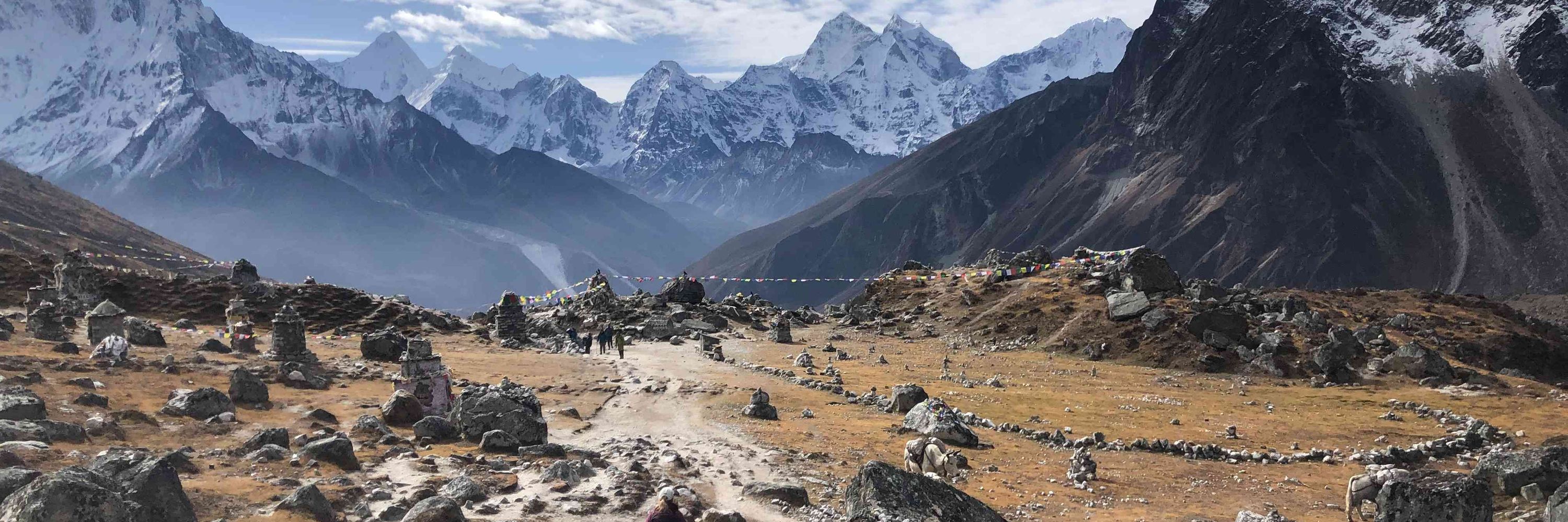 SWS Mountain Guides