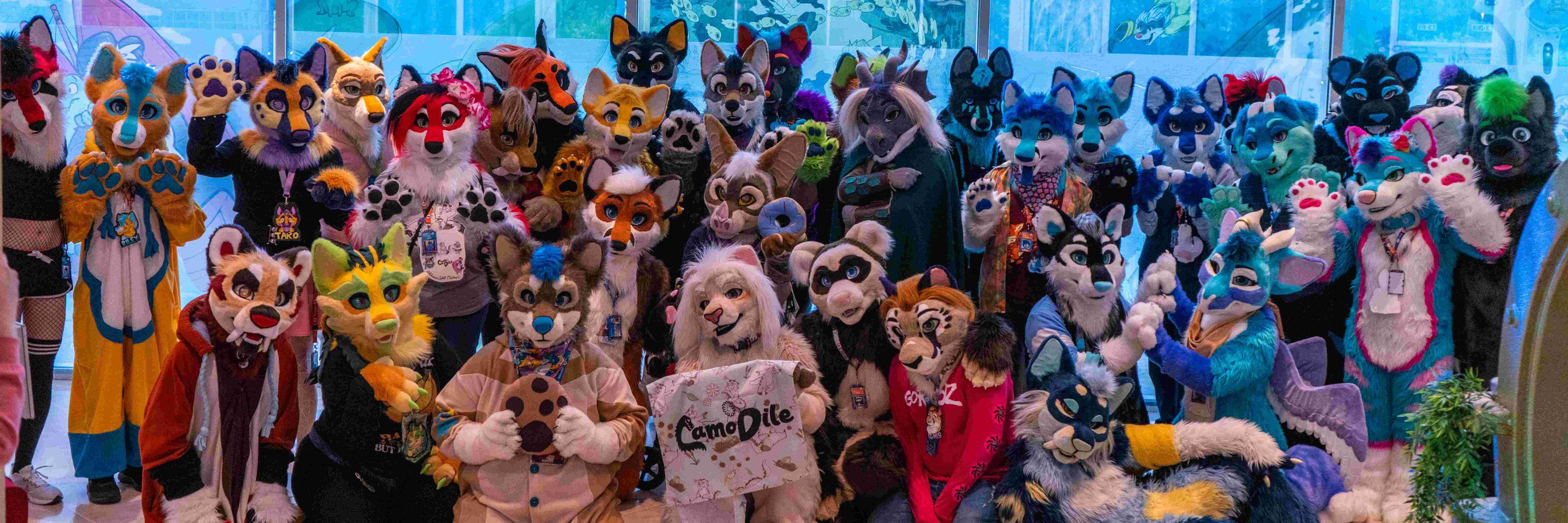 Taro @ CFz