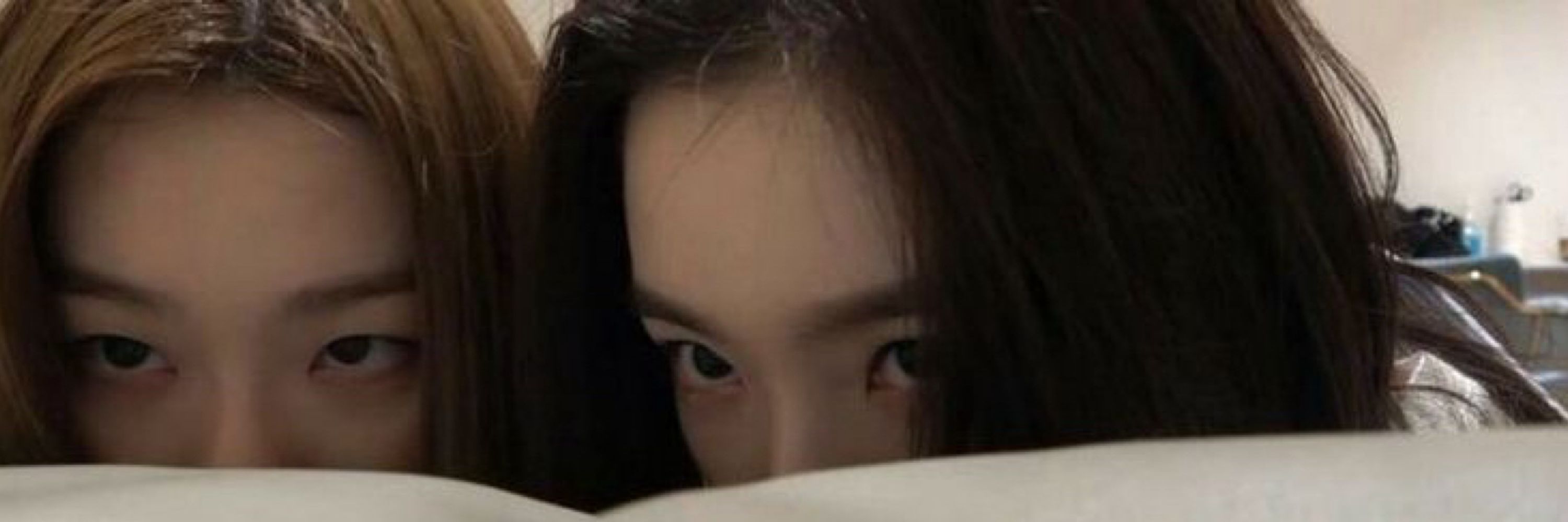 ⌗ irene ⚢