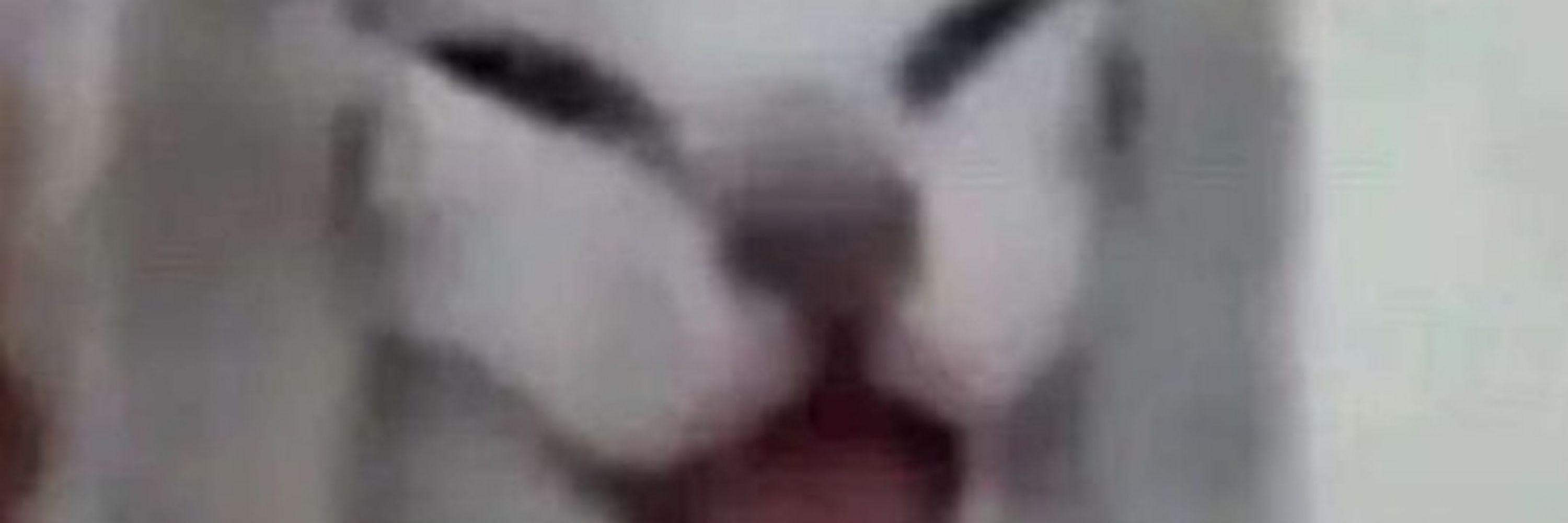 엣온