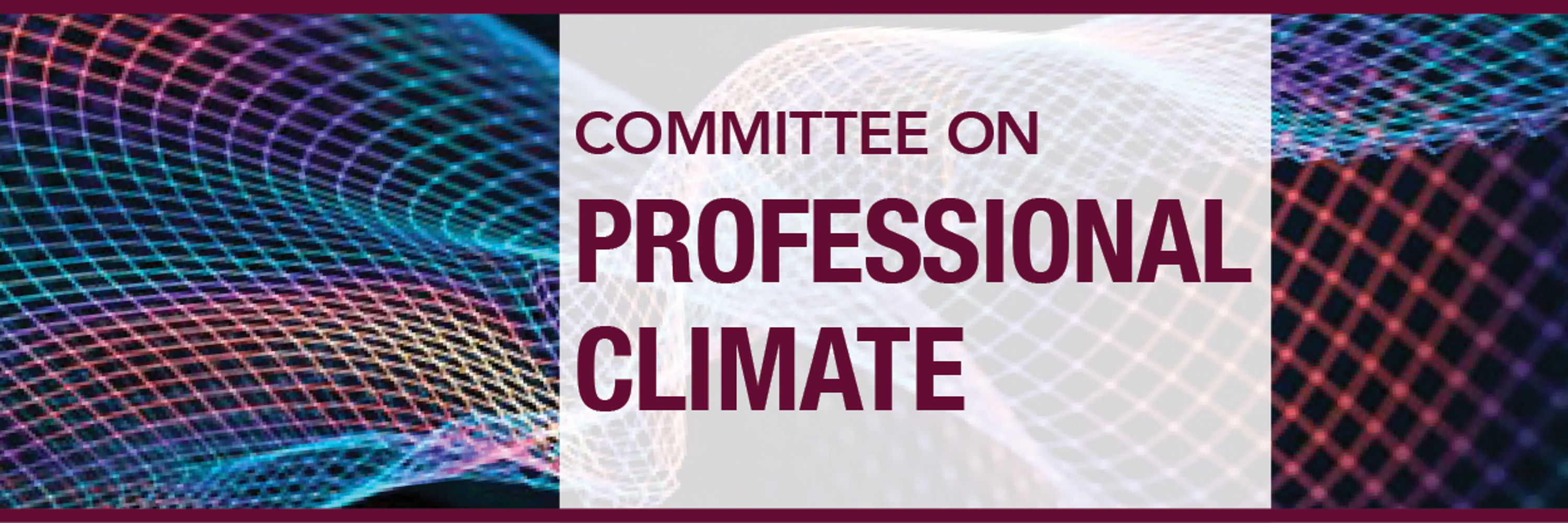 AEA Committee on Professional Climate