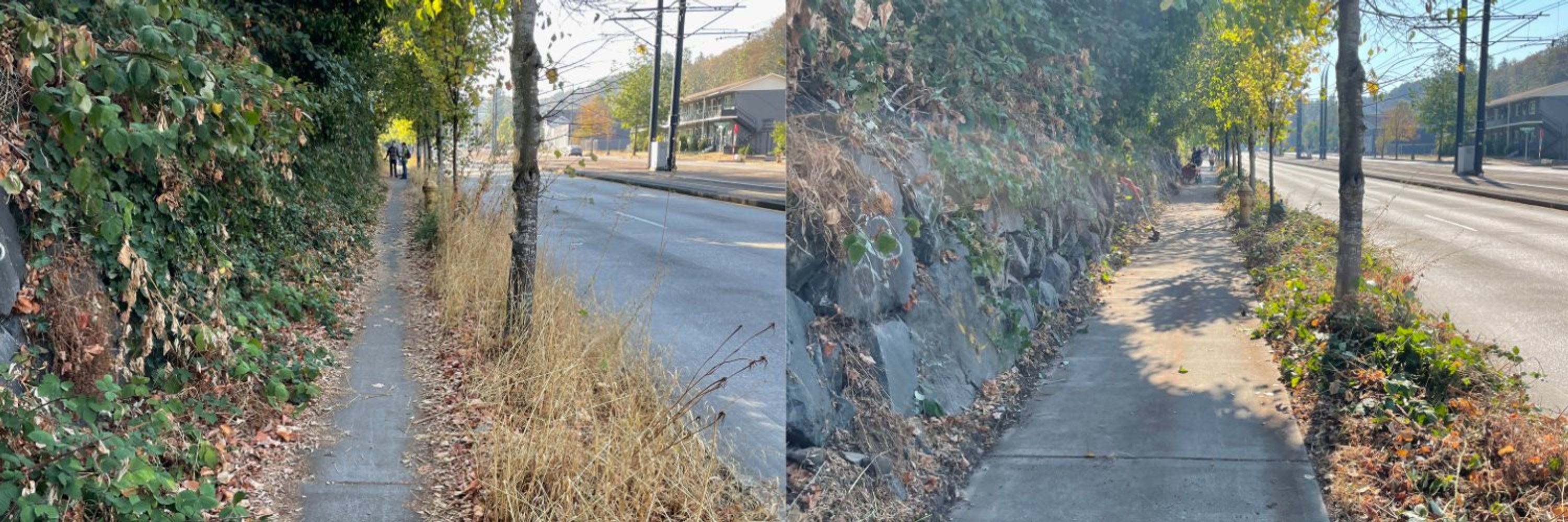 Seattle Street Fixers