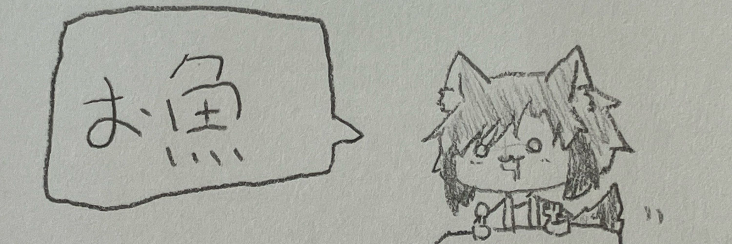 さわおからいか