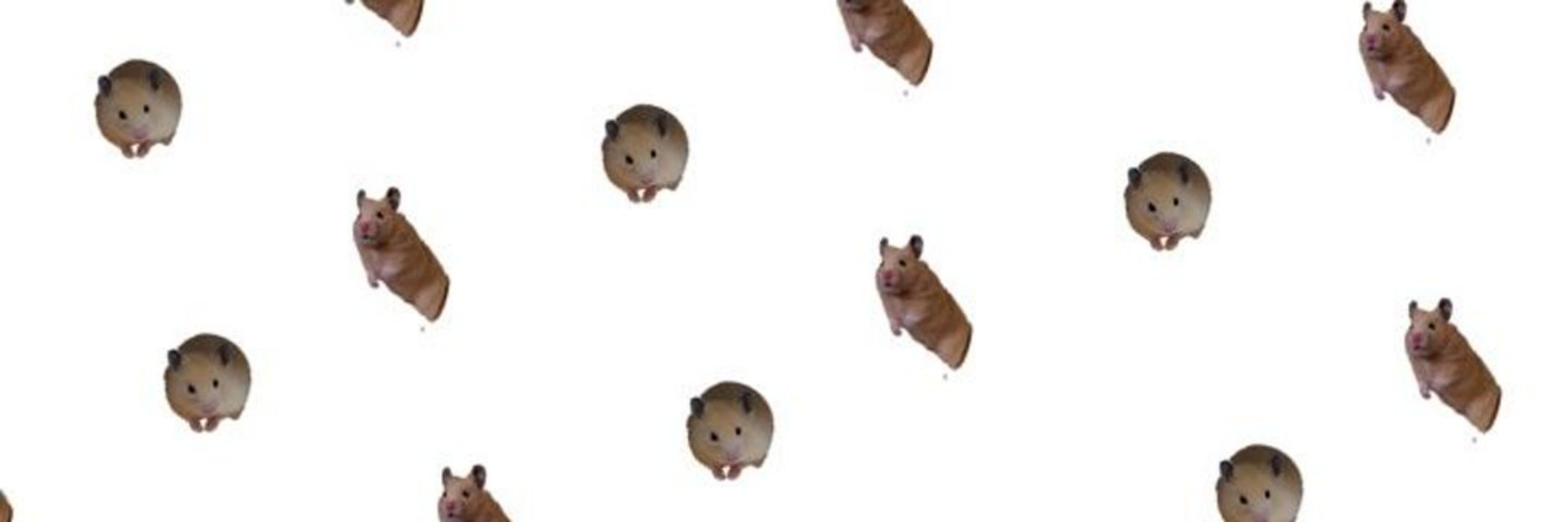 みやこ