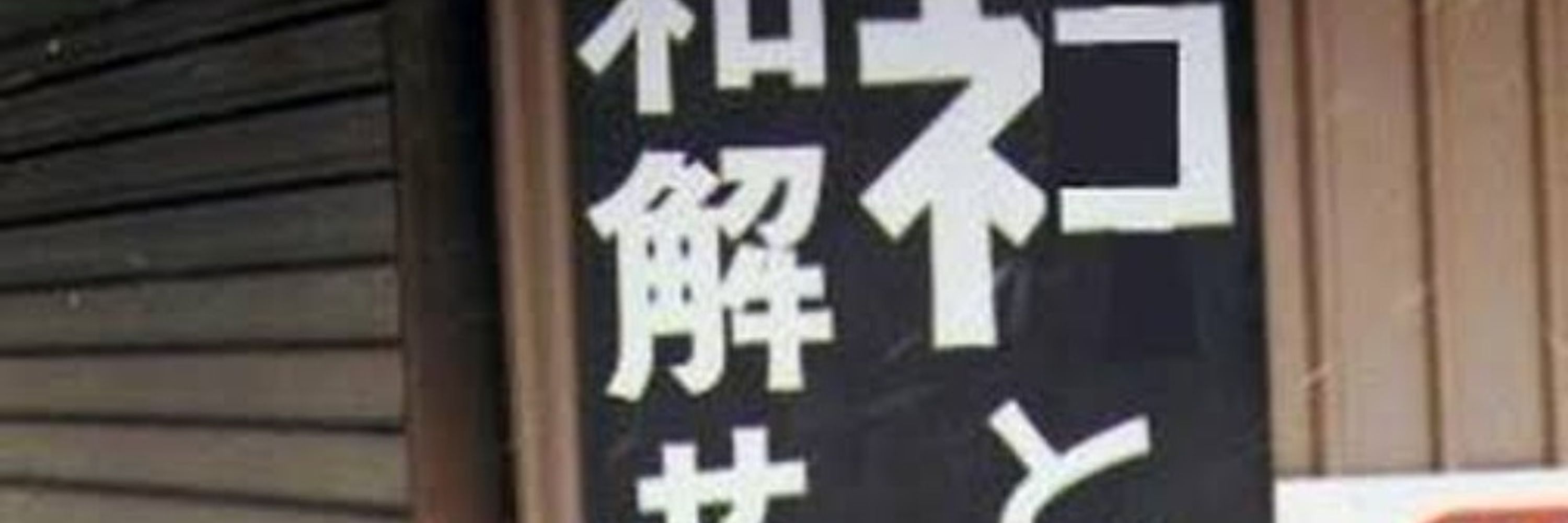 Z李