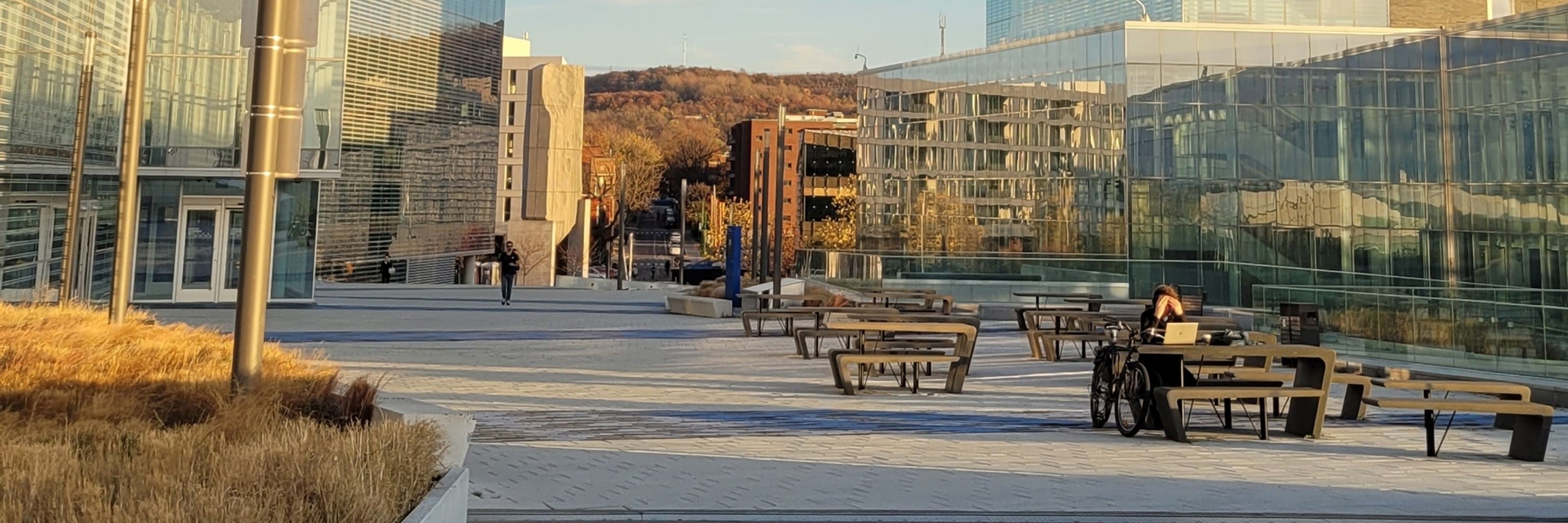 Département de géographie, Université de Montréal