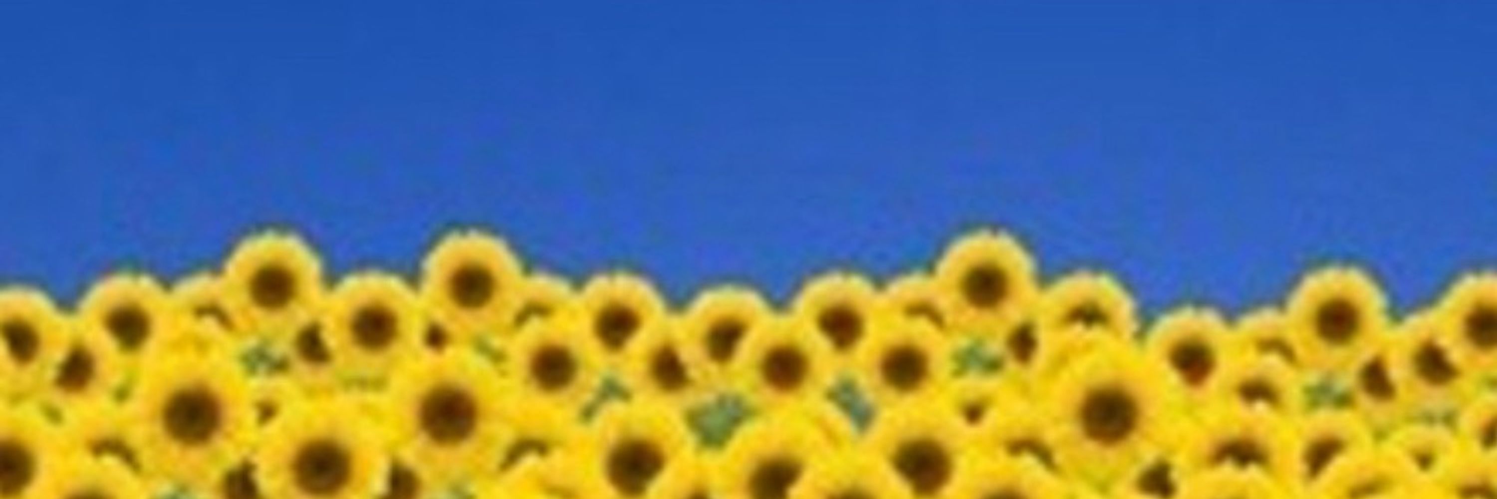 Johannes 🇺🇦🇮🇱🇵🇱🇪🇺 Filter Masken Tests