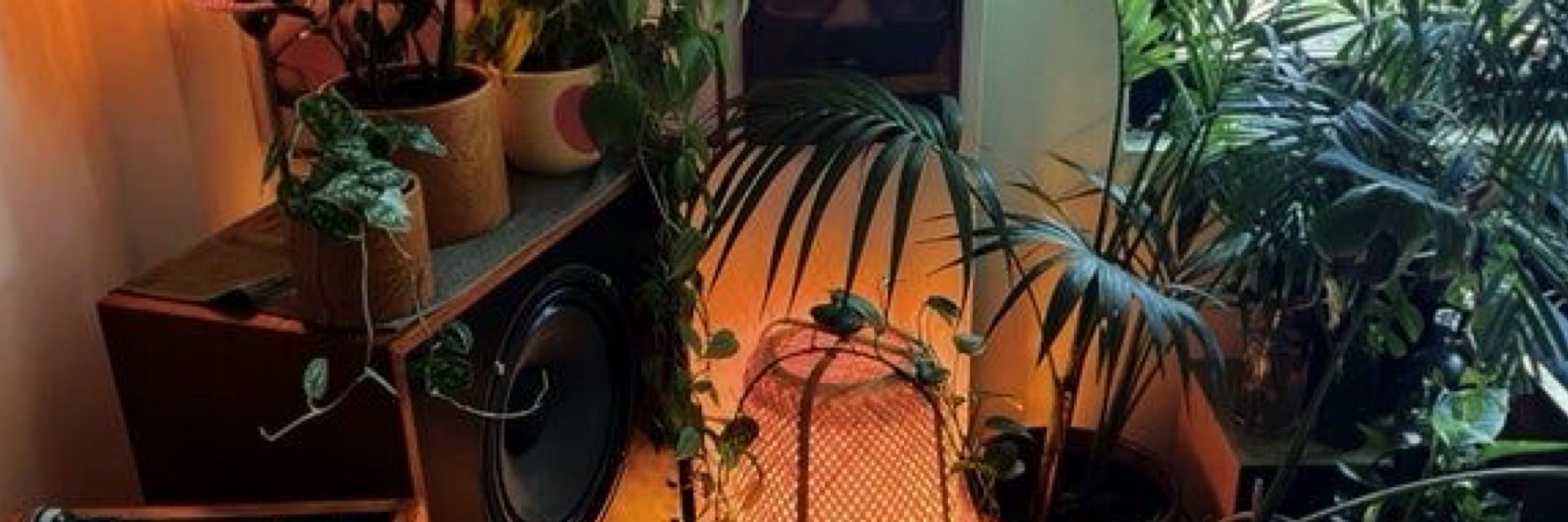 🇳🇬