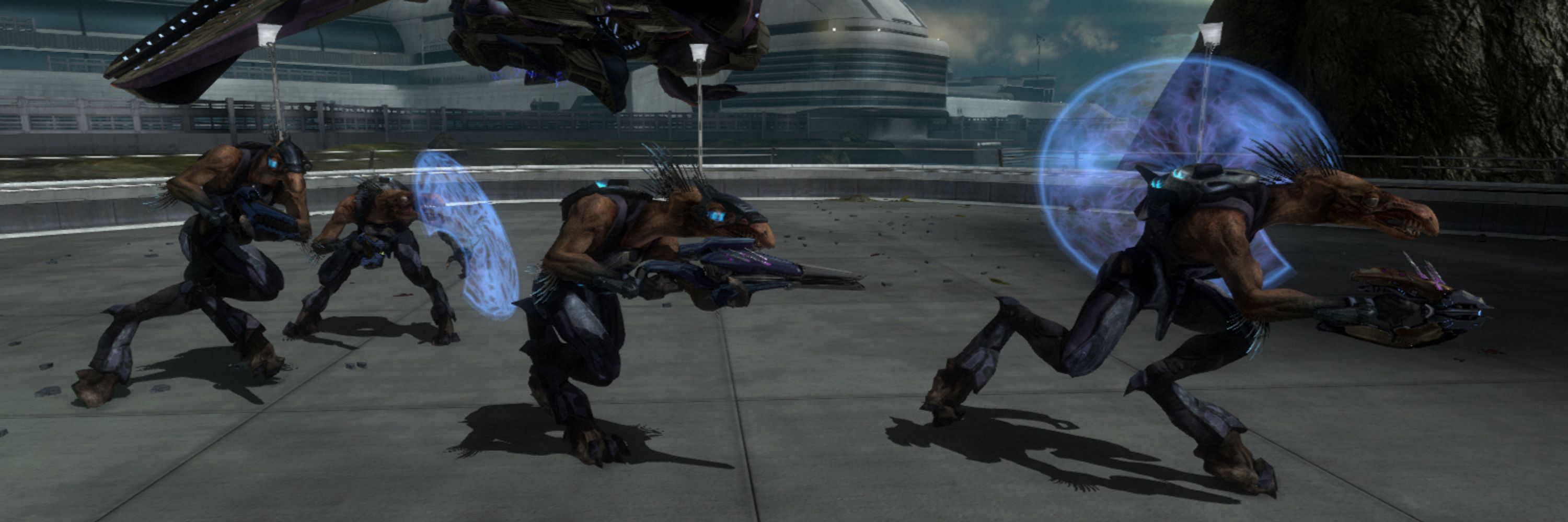 jackal posting