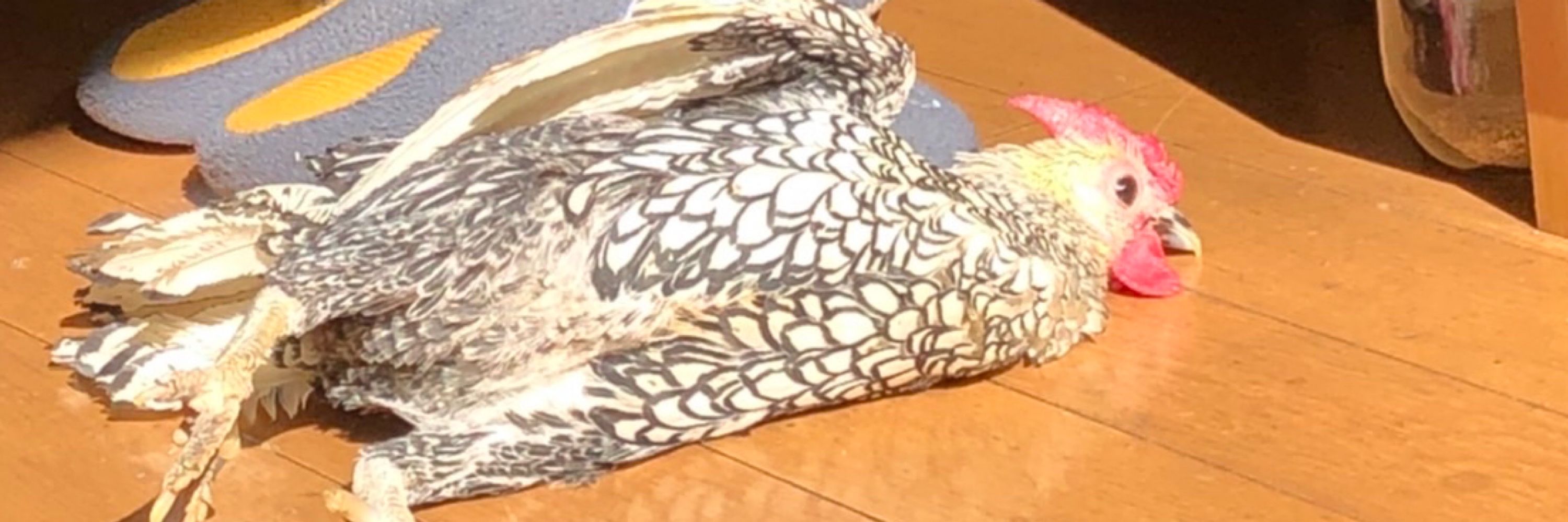 がぶがぶ
