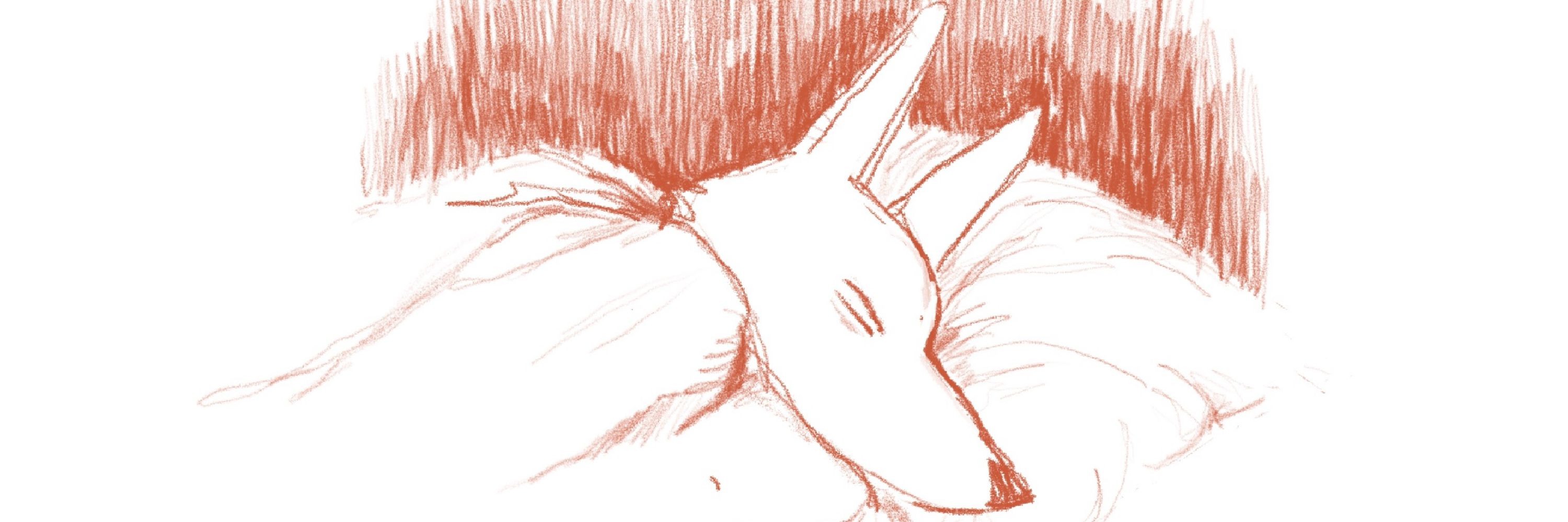 tinyfox