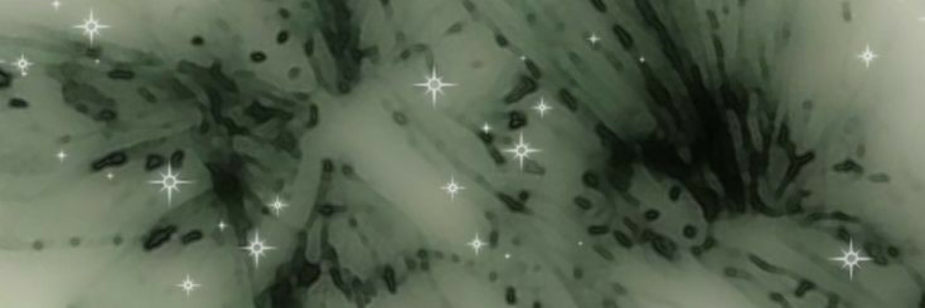 𝕻𝖗𝖎𝖓𝖈𝖊 ♂✦♪½