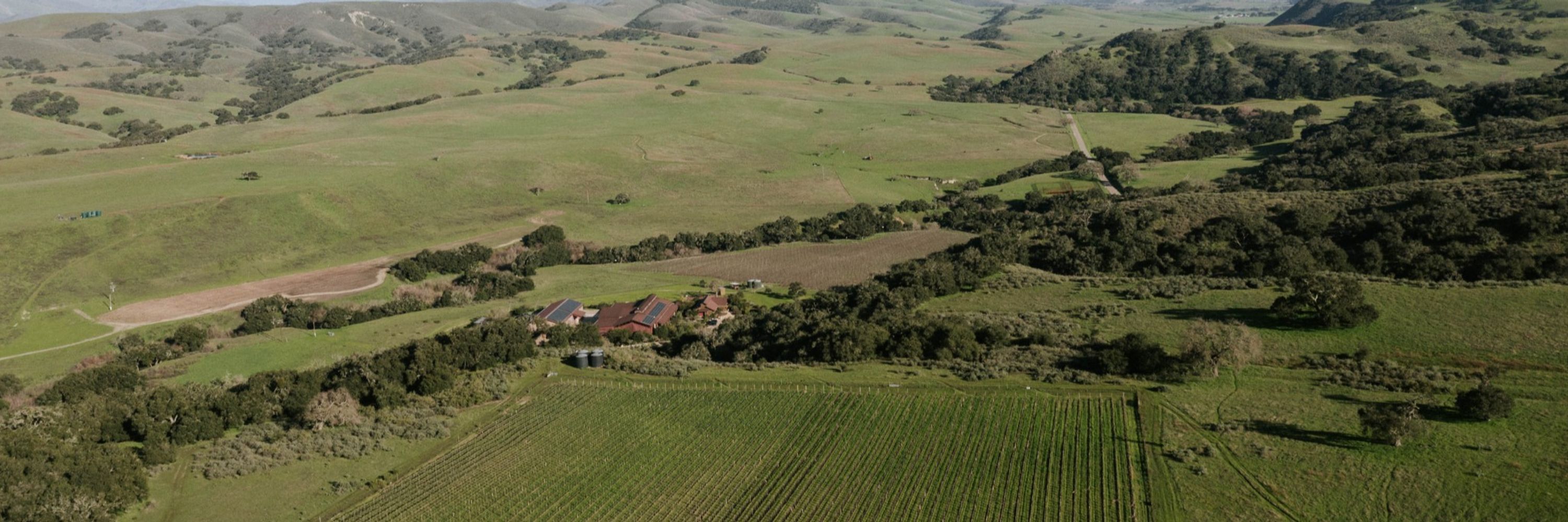 Foxen Vineyard & Winery | Santa Barbara Wine Country