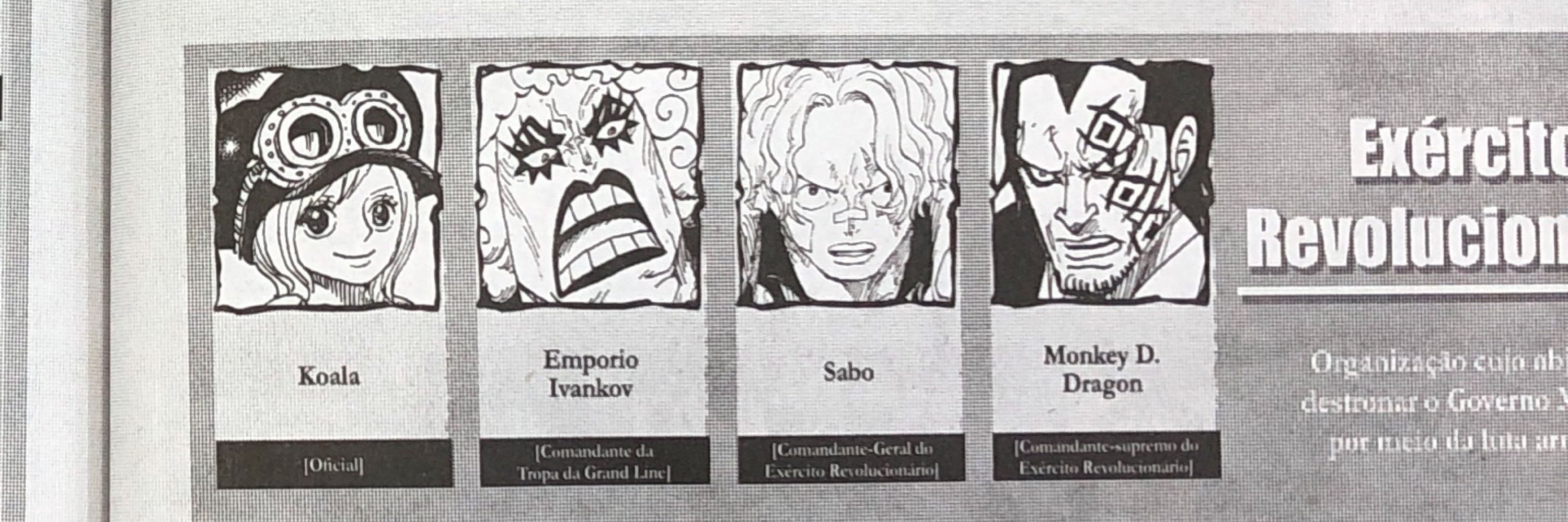 Bruno C. Gouvea