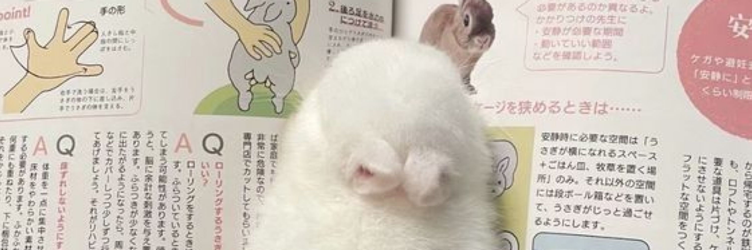 🎐마로