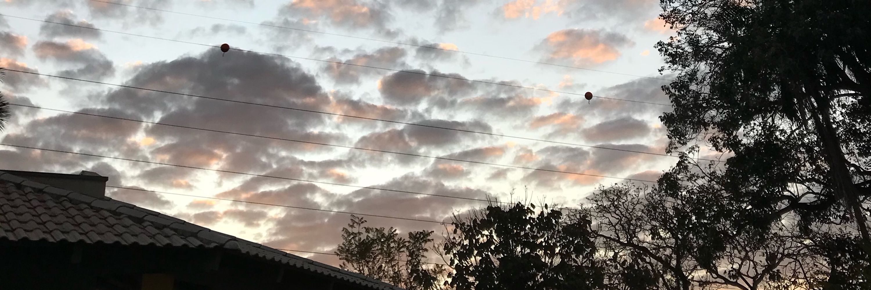 𝐂𝟎𝐐𝐔𝟏𝐖