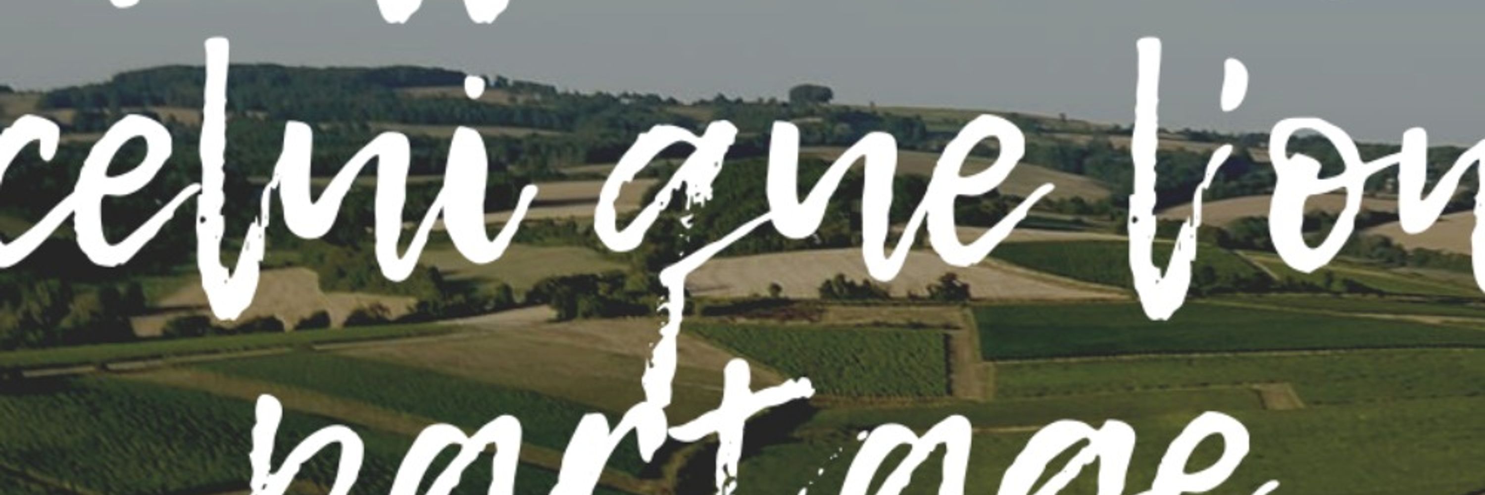 Winespector, en quête de vins