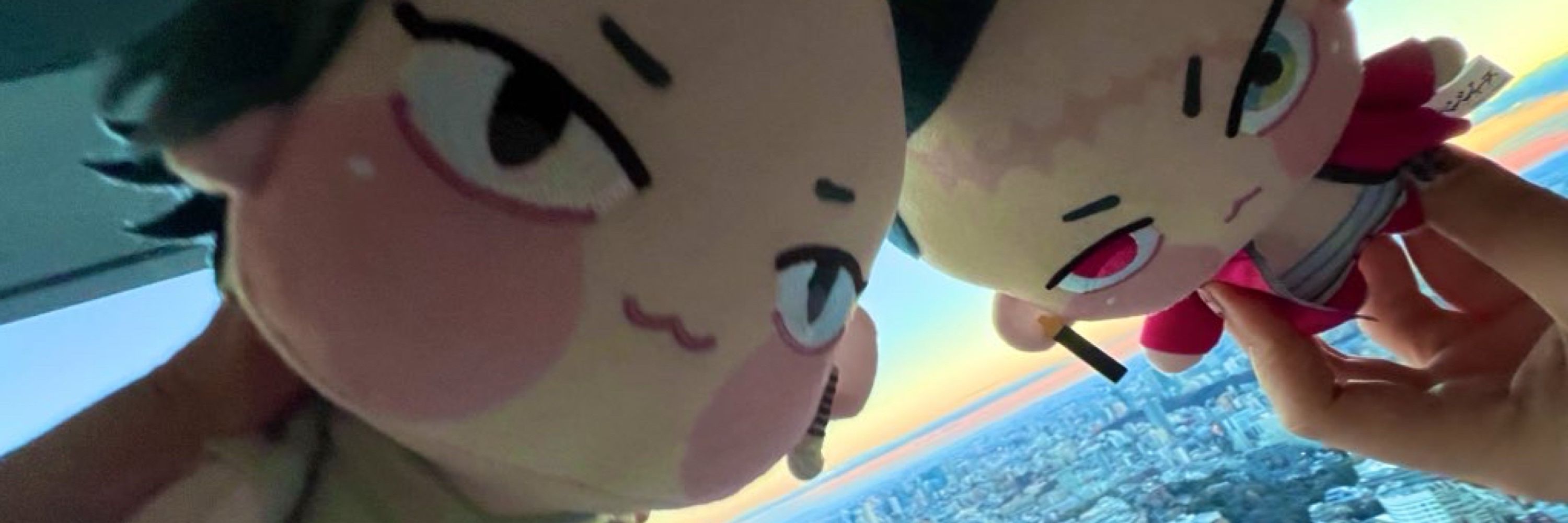 あざらし