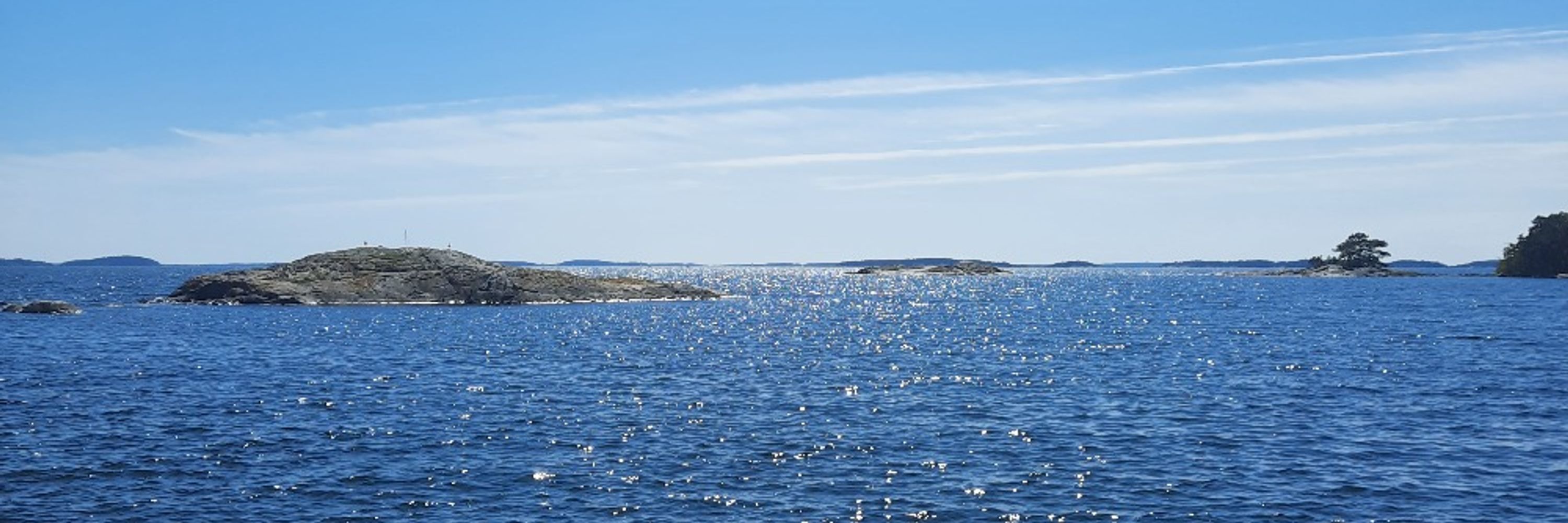 Wibke Dymel