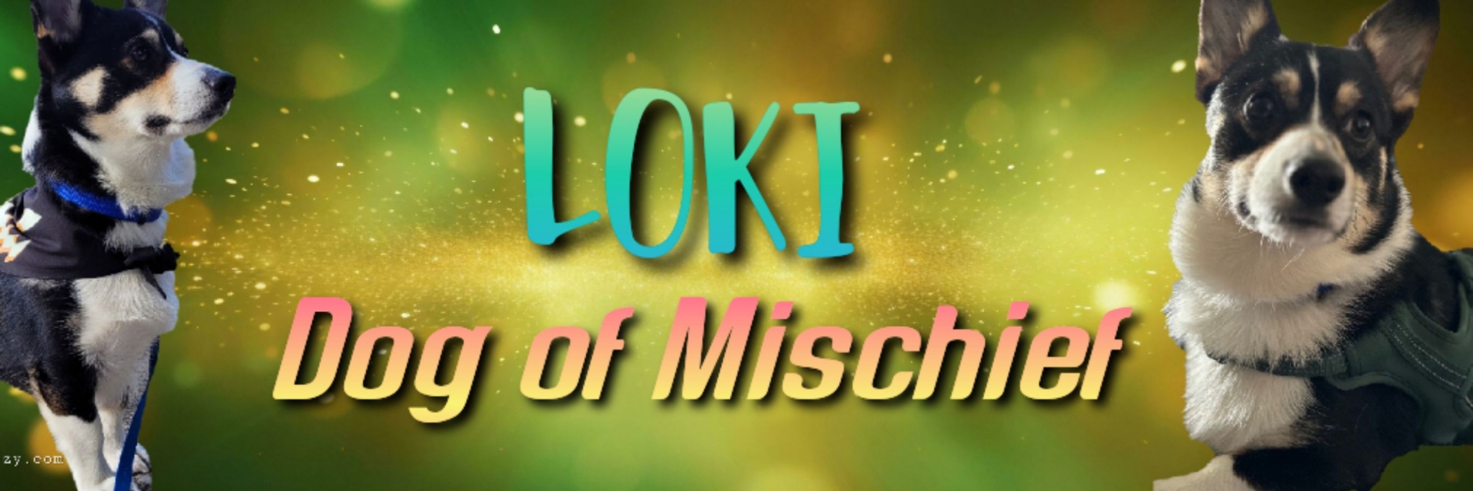 Loki: Dog of Mischief