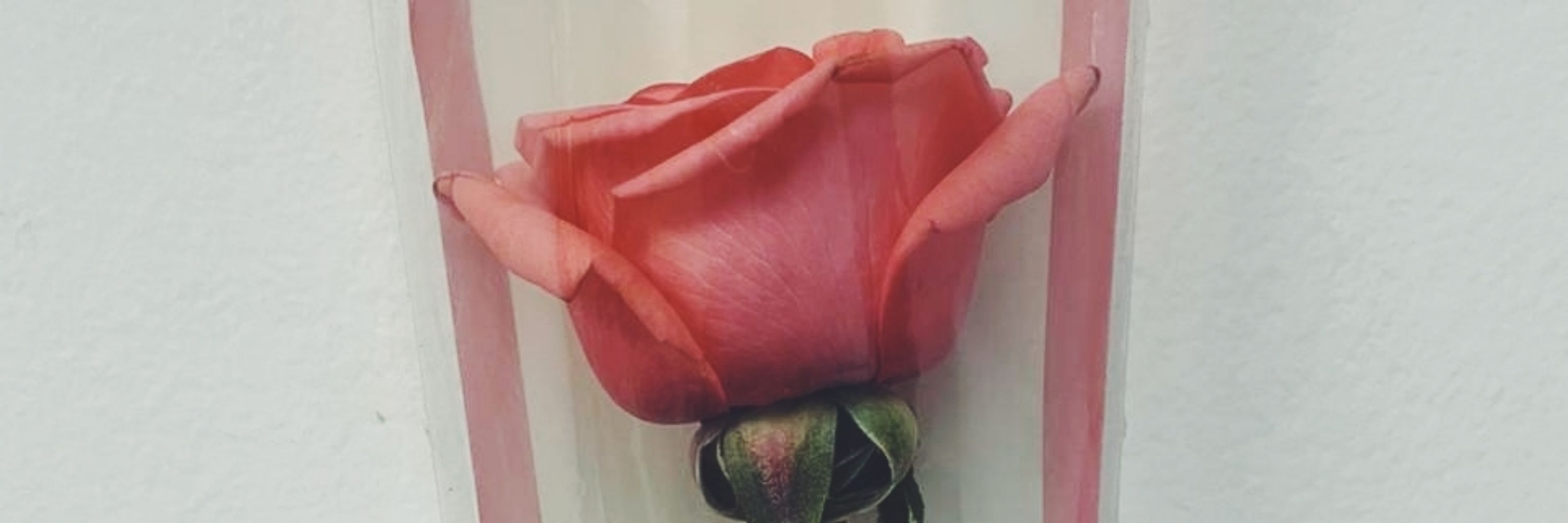 giu 🍓