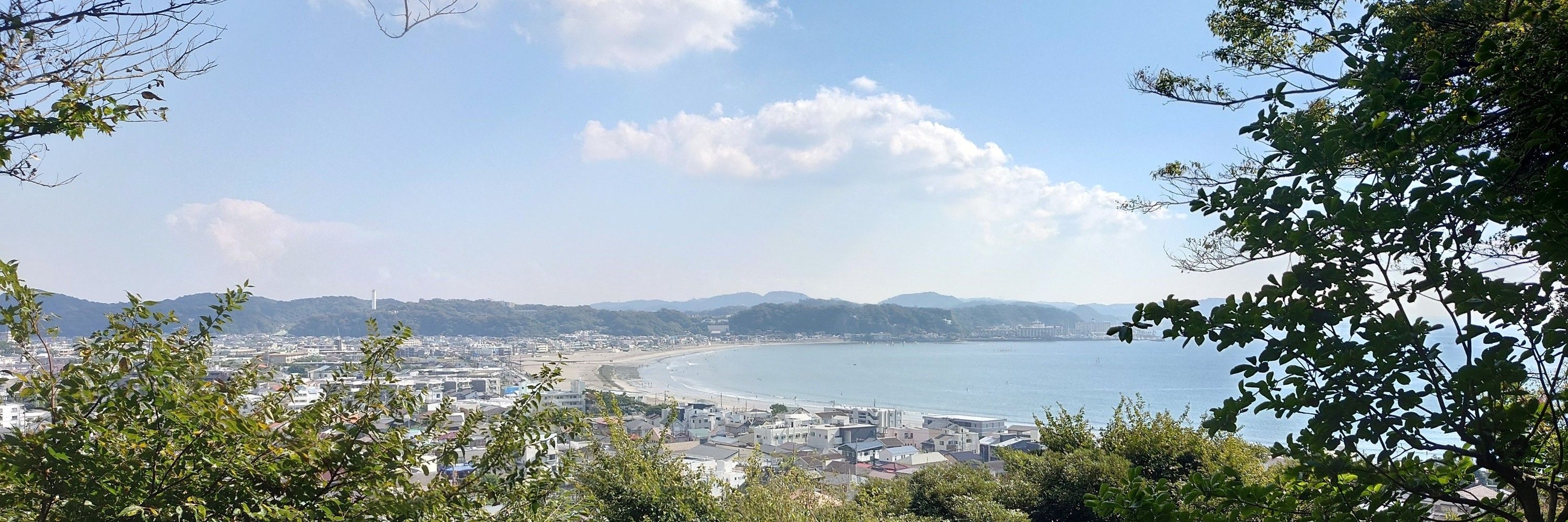 葉月すい