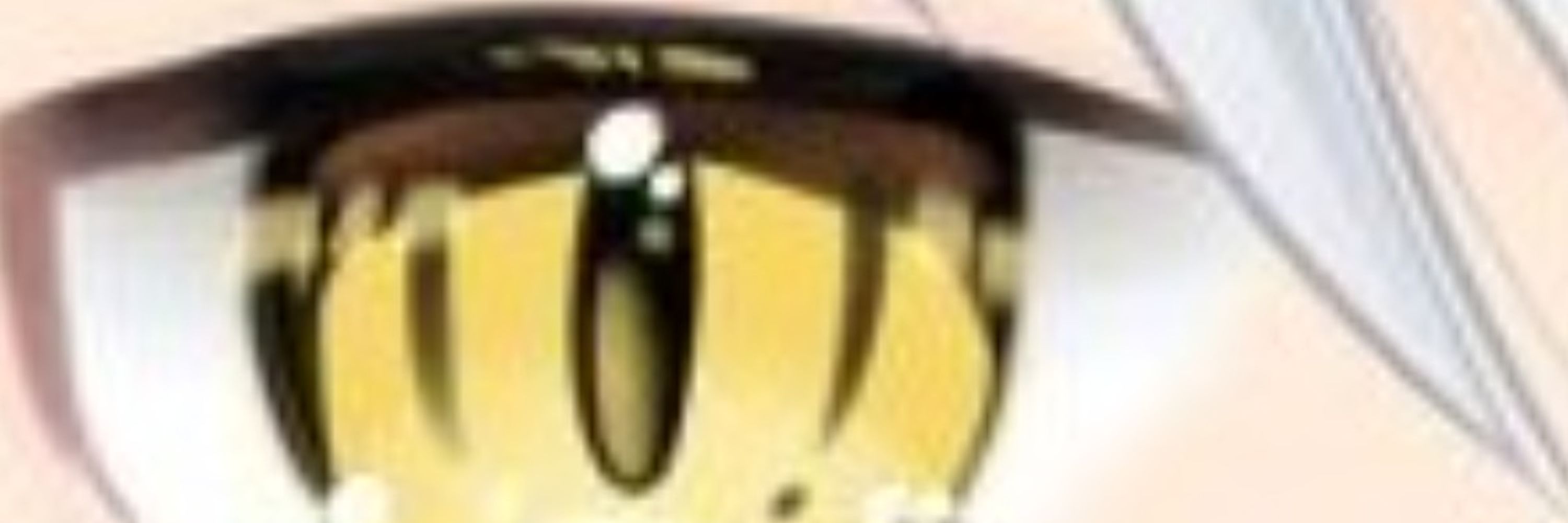 招気エニシ@Vtuber