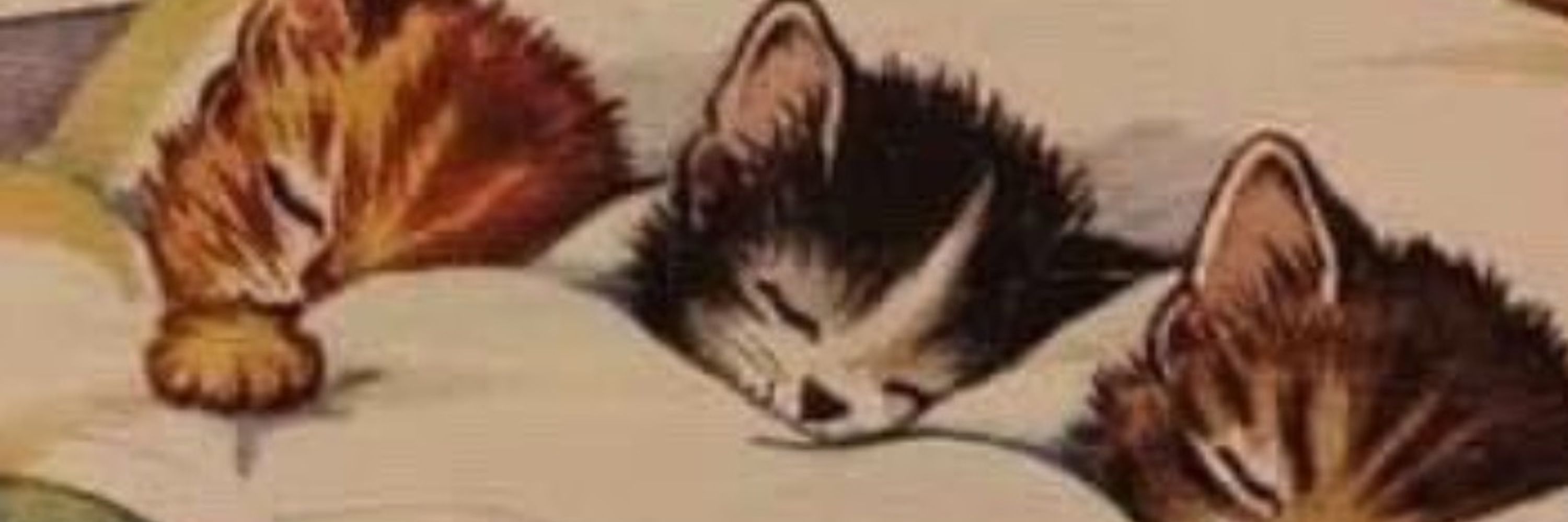 evil catgirl