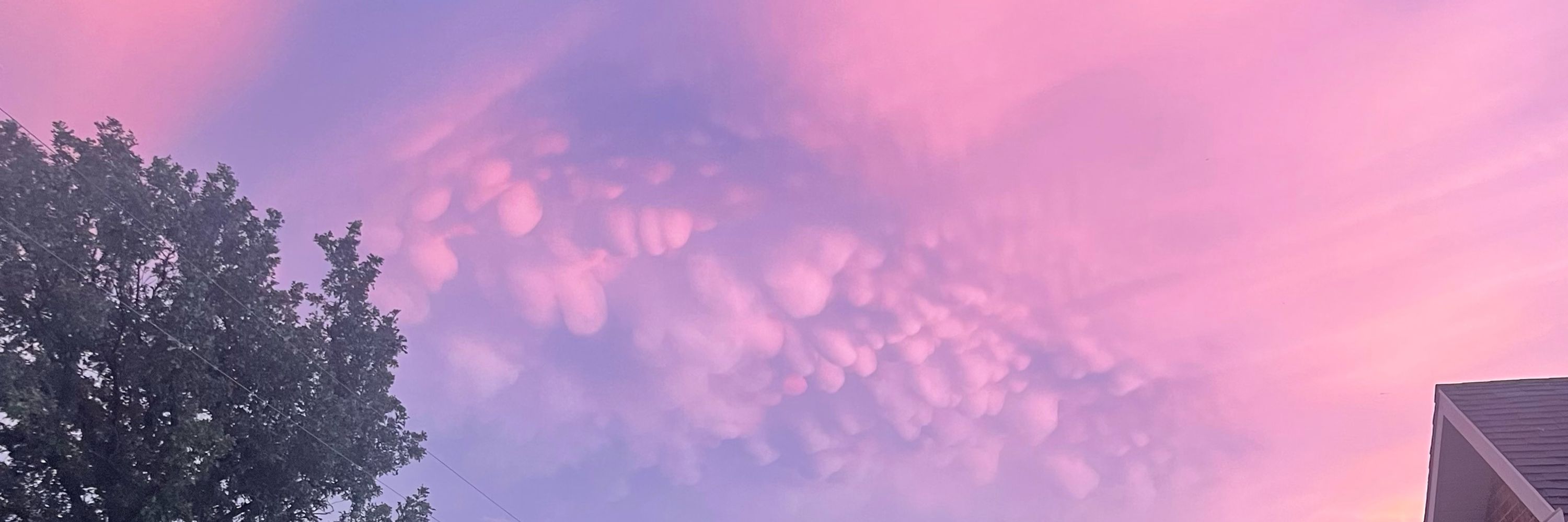 Marcia/kcrn01