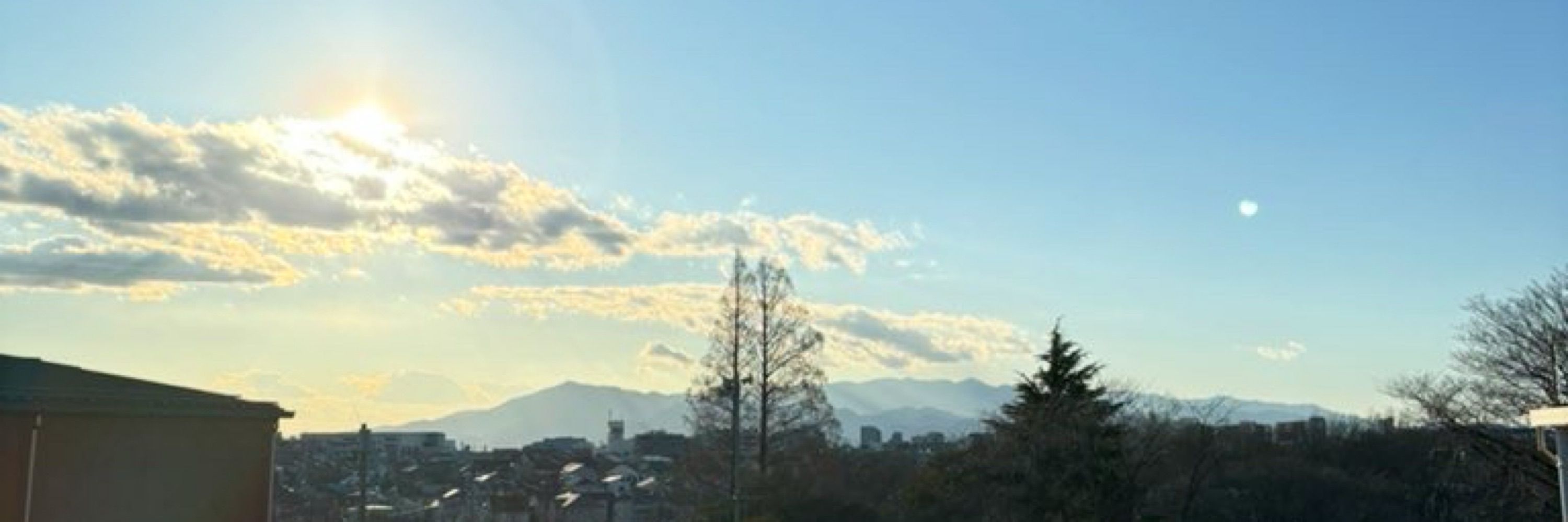 裟綾