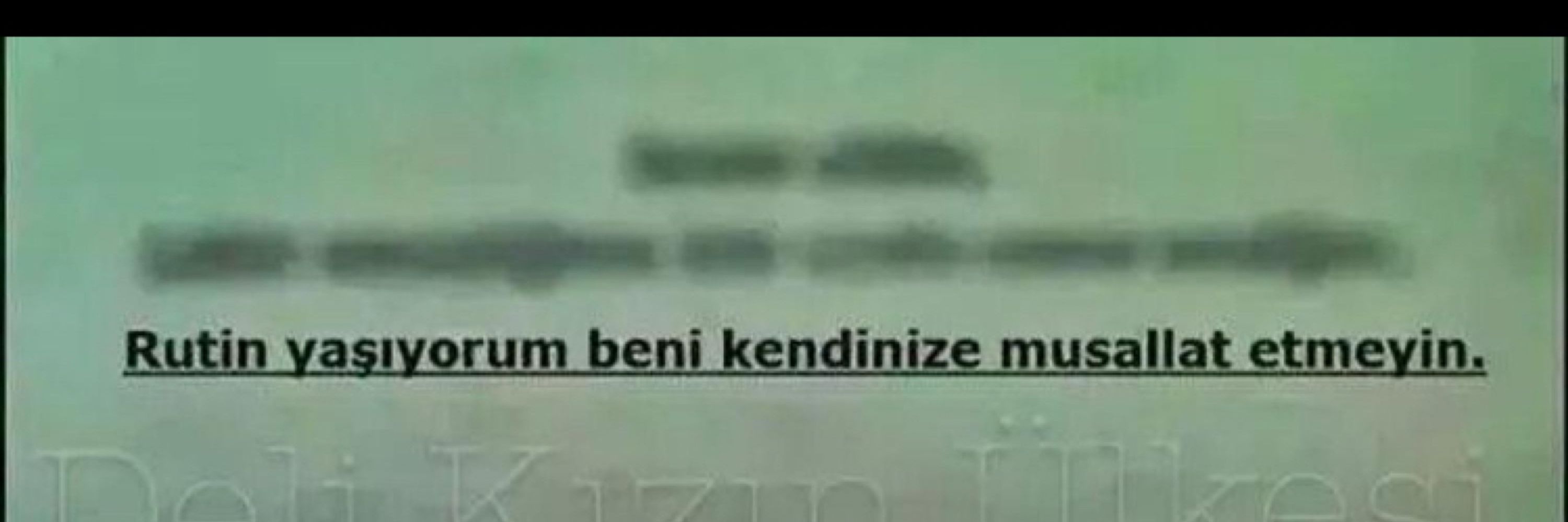 Gül Mutlu