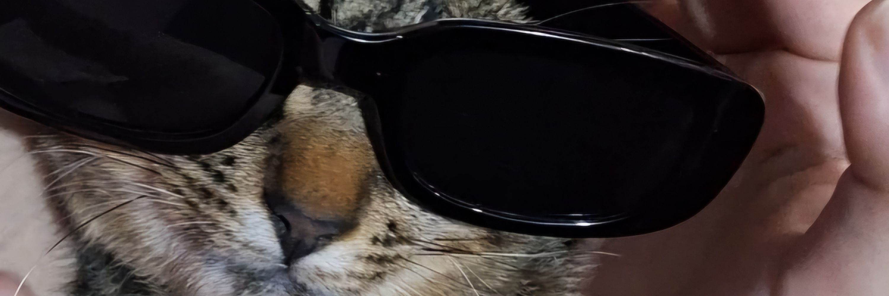 ☽ 𝕵𝖚𝖑𝖎𝖆 