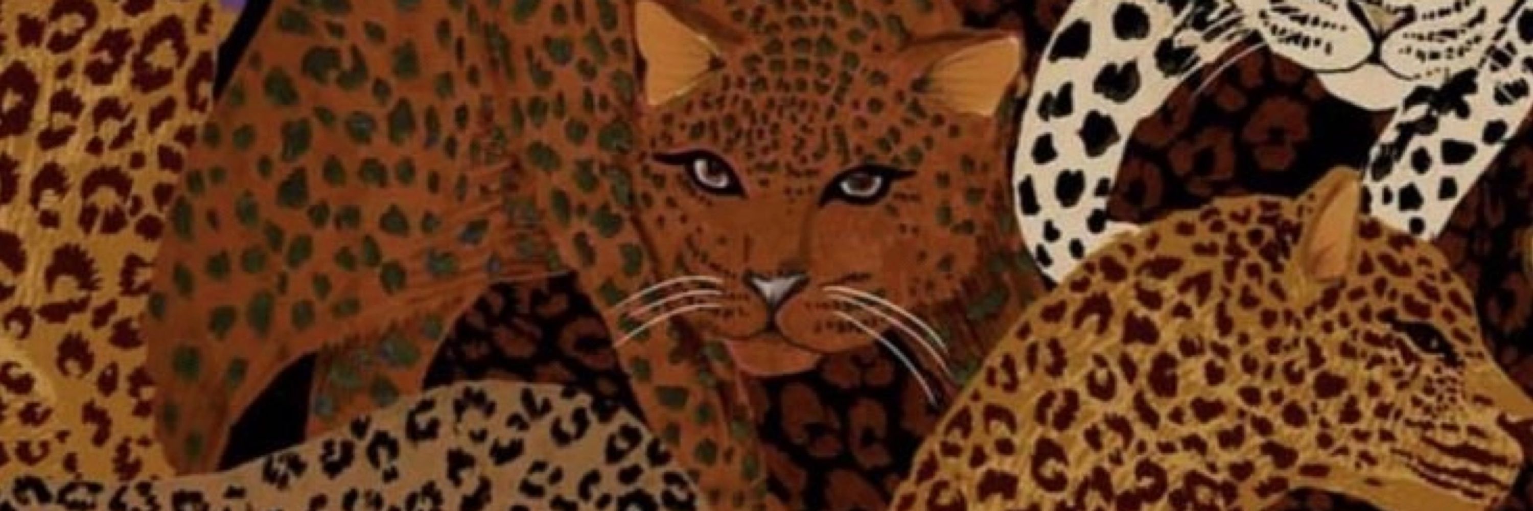 Vivi🐆