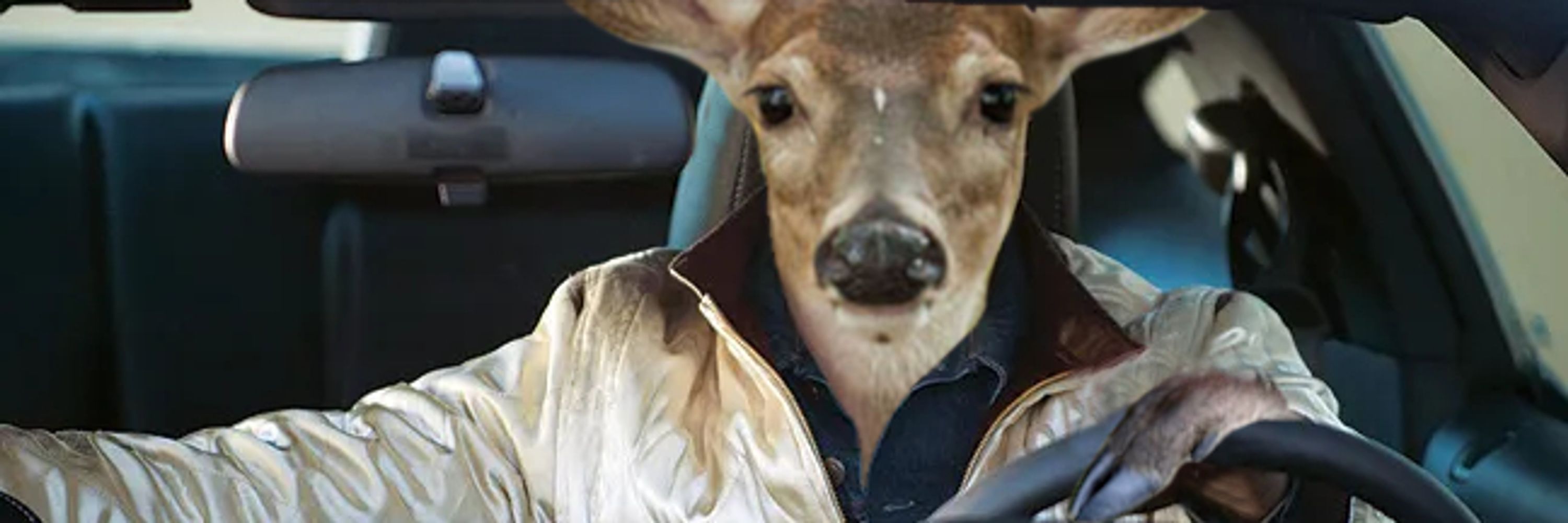 Doriyote