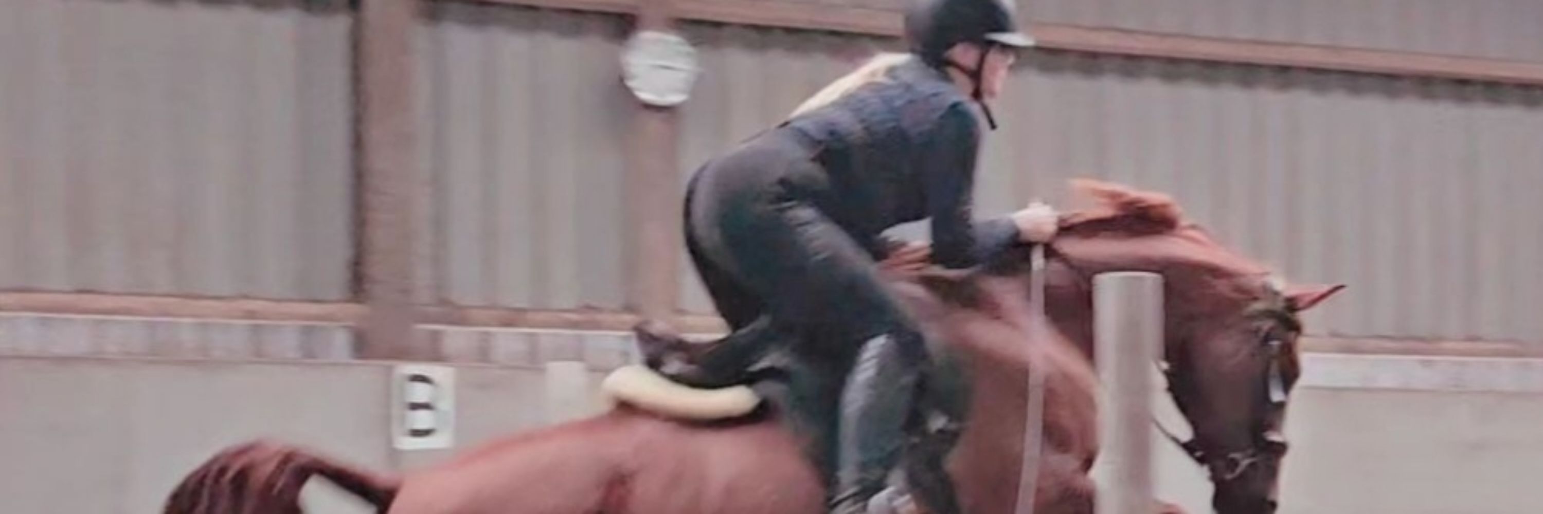 Lorna Jane 🐴🍀