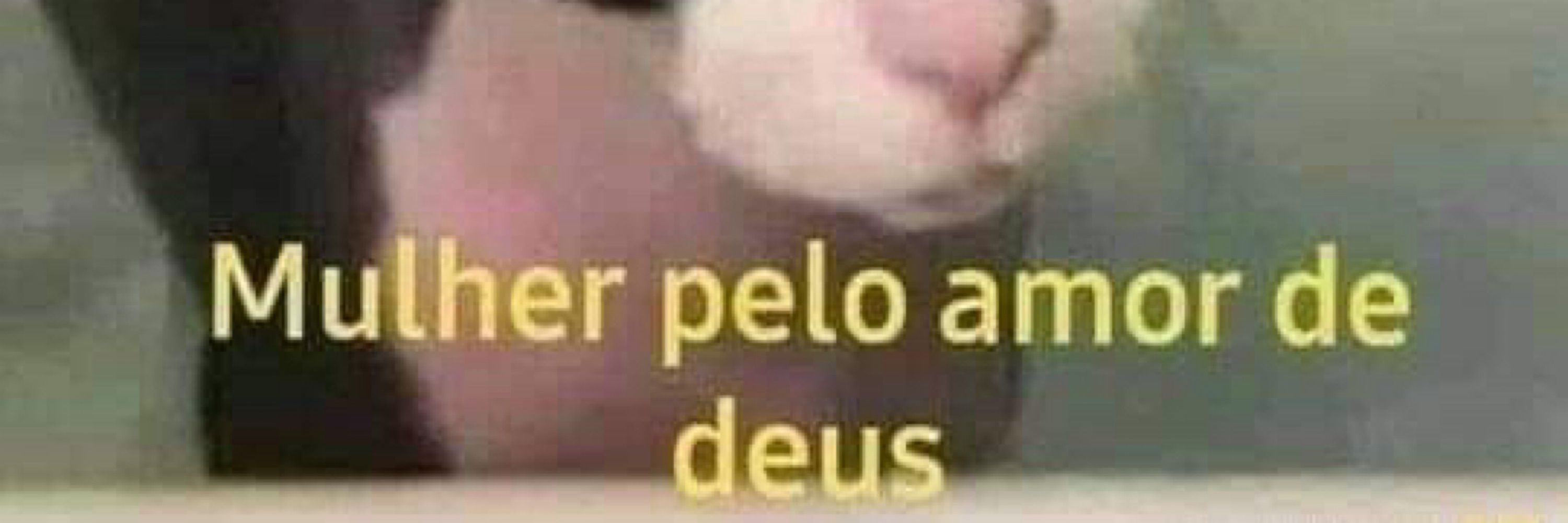 Mi✨